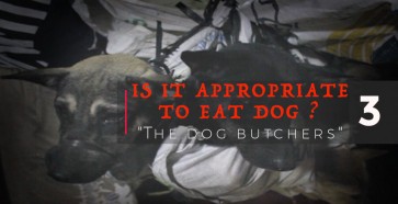 Is it appropriate to eat dog? Series 03: Dog butchers