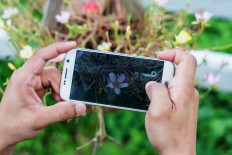 Avoid dull snapshots: Tips for taking stunning pictures 