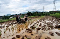 Feeding nation while protecting environment