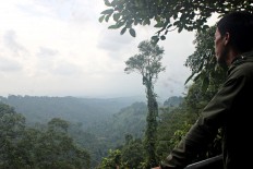 After the customary forest recognition