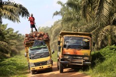 A worker moves palm oil fresh fruit bunches (FFB) aboard a truck at a plantation in Central Kalimantan on Dec. 19, 2015.
