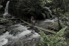 West Java national park offers fun treks for the family 
