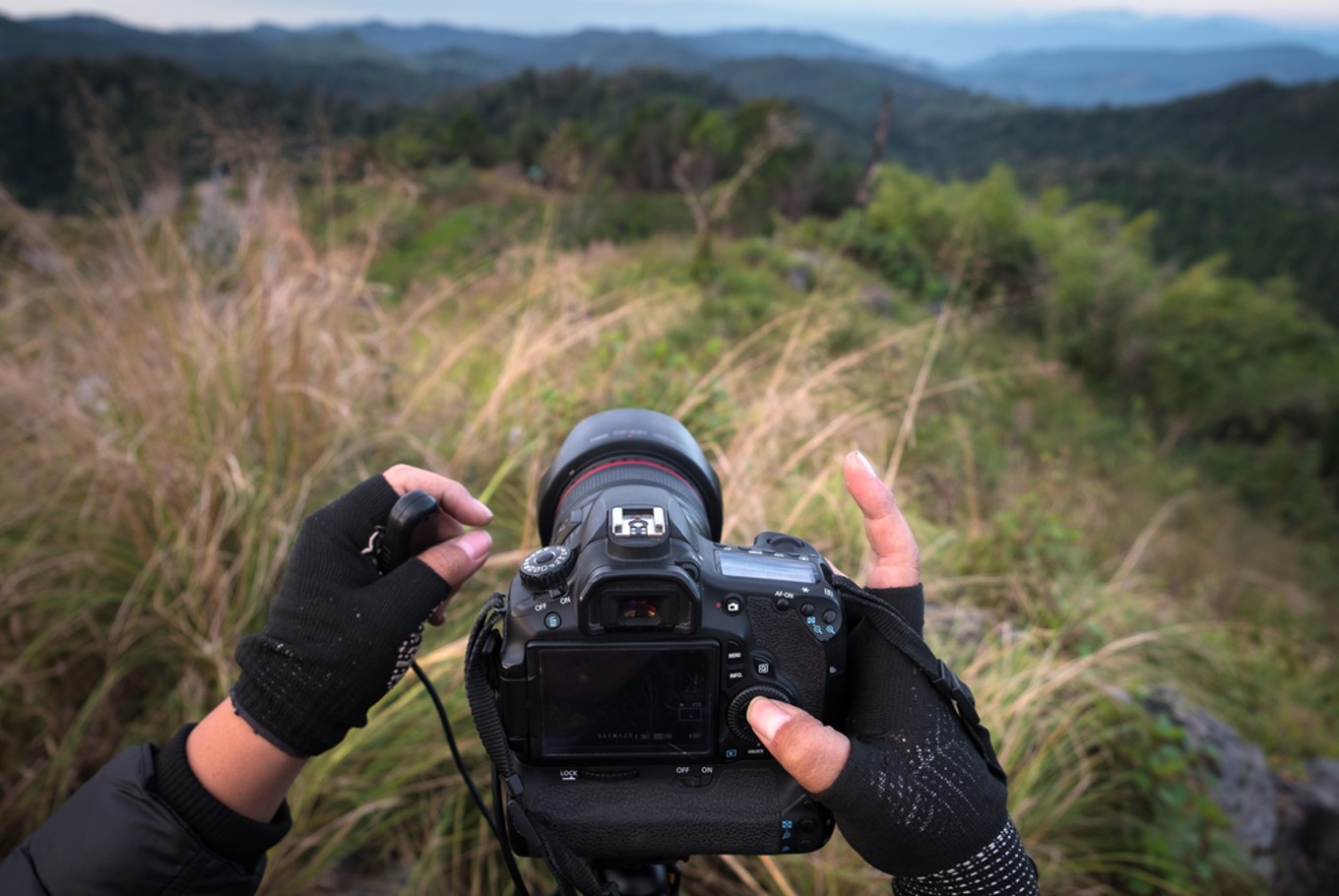 Harvard's digital photography course now available for free Science