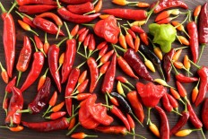 Nine wholesalers ‘control chili distribution’ in Java, says official 