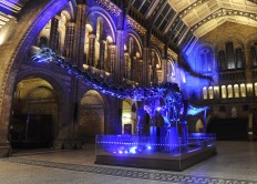 'Dippy' dinosaur skeleton leaves London museum