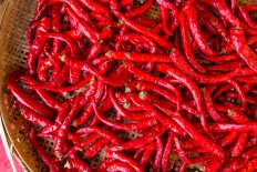 South Kalimantan village home to Indonesia's hottest chili 