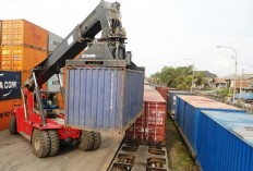 Indonesia faces trade remedies from partners, risks $1.9b losses