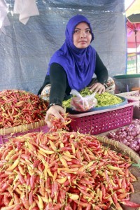Jakarta to grow chili on 2.5 hectare plot of land, next month