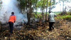 High fire potential predicted for West Kalimantan as rainfall drops