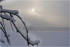 Leaving war behind, Iraqis hit the ski slopes