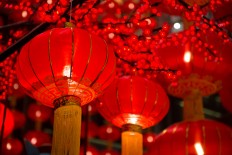 5,000 red lanterns to enliven Solo's Chinese New Year celebration
