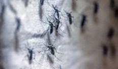 Ebola, Zika push drugmakers to join effort to avert pandemics