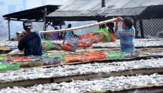 ‘New industries’ to be built in Muara Angke