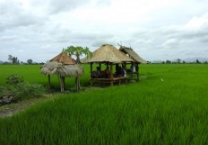 Lombok's Setanggor village, a must-visit for cultural enthusiasts