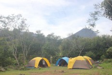 Mount Gede Pangrango closed for 3 months