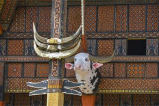 Tana Toraja set to prosper as major tourist destination