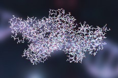 Government urges public to not panic over anthrax infection