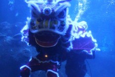 Seaworld to host underwater &lsquo;barongsai&rsquo; performance 