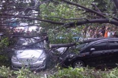 Victims of fallen tree, Yogyakarta residents seek crowdfunding support for treatment