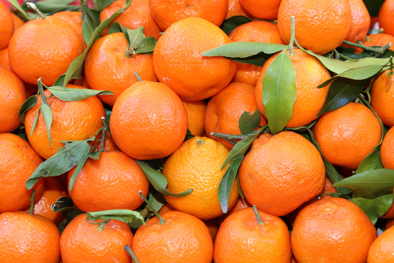 Pakistan boosts orange exports to Indonesia - Business - The Jakarta Post