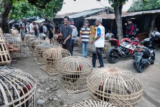 Police foil transnational rooster-smuggling operation in North Sulawesi