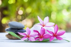 Go-Jek's lifestyle services now available in separate app