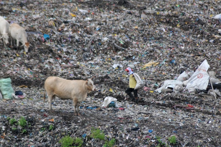 A trashpicker and cattle are pictured at the Putri Cempo dumpsite in Surakarta, Central Java. The government plans to turn waste to energy by building 33 processing plants nationwide worth a combined $5.6 billion, much of it from foreign investors.