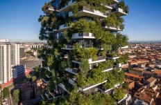 Asia's first vertical forest to be built in China