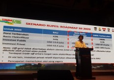  Investors sought for green energy projects on Sumba Island