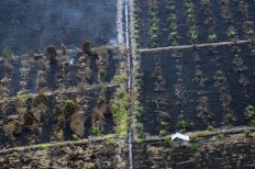 Fires burn 64 hectares of land in West Aceh