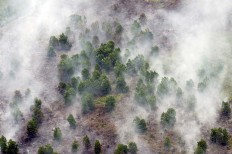 Suspected land burner arrested in Riau