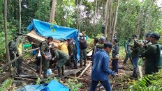 Alleged illegal logger nabbed in Riau conservation forest