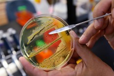 The dirty dozen: UN issues list of 12 most worrying bacteria 