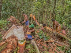 Gold mine in Korowai closed following protests