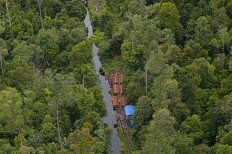 West Papua villagers fight for forest rights