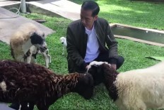 Jokowi&rsquo;s latest vlog features surprise &lsquo;guest stars&rsquo;