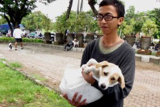 A man carries his dog before having it vaccinated during a free rabies vaccination and neutering program at Lumintang Field, Denpasar, on Nov. 24, 2016. JP/ Zul Trio Anggono