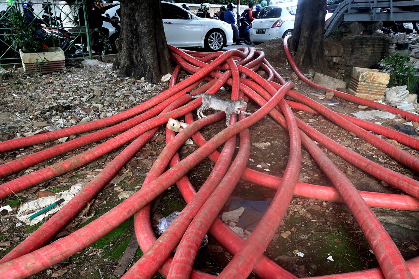 Jakarta's cable emergency