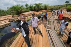 Discovery of illegally logged timber shows rampant illegal logging practices continue in Jambi