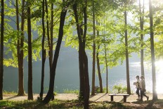 Muslim-friendly spots for holidaymakers on Nami Island