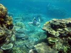 A diver enjoys coral reefs in Karimunjawa Islands, Jepara, Central Java, recently.