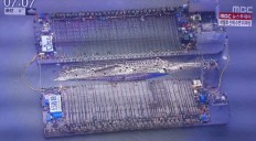 South Korea begins to raise Sewol ferry, three years after disaster