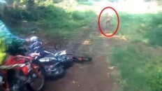 Aceh sighting: Ape or pygmy? Could have been small person, says expert