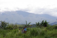Fears for Indonesian park's rare species as Trump town rises 