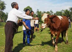The village head splashes water on the head of a cow during the cow bathing tradition in Bunder-Jarakan, Bandungan, Klaten regency, Central Java, on Saturday, March 3, 2017. JP/Ganug Nugroho Adi

