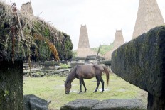 Ministry preps programs to boost cross-border tourism in Atambua