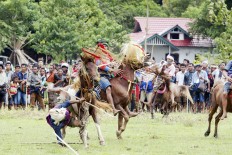 'Pasola': Centuries old ritual of Sumba