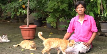 Jobless woman in South Jakarta helps&nbsp;cats&nbsp;despite limitations