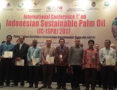 Only 12% of Indonesia's oil palm plantations ISPO certified