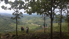 Gunungkidul selected to pilot climate change mitigation efforts